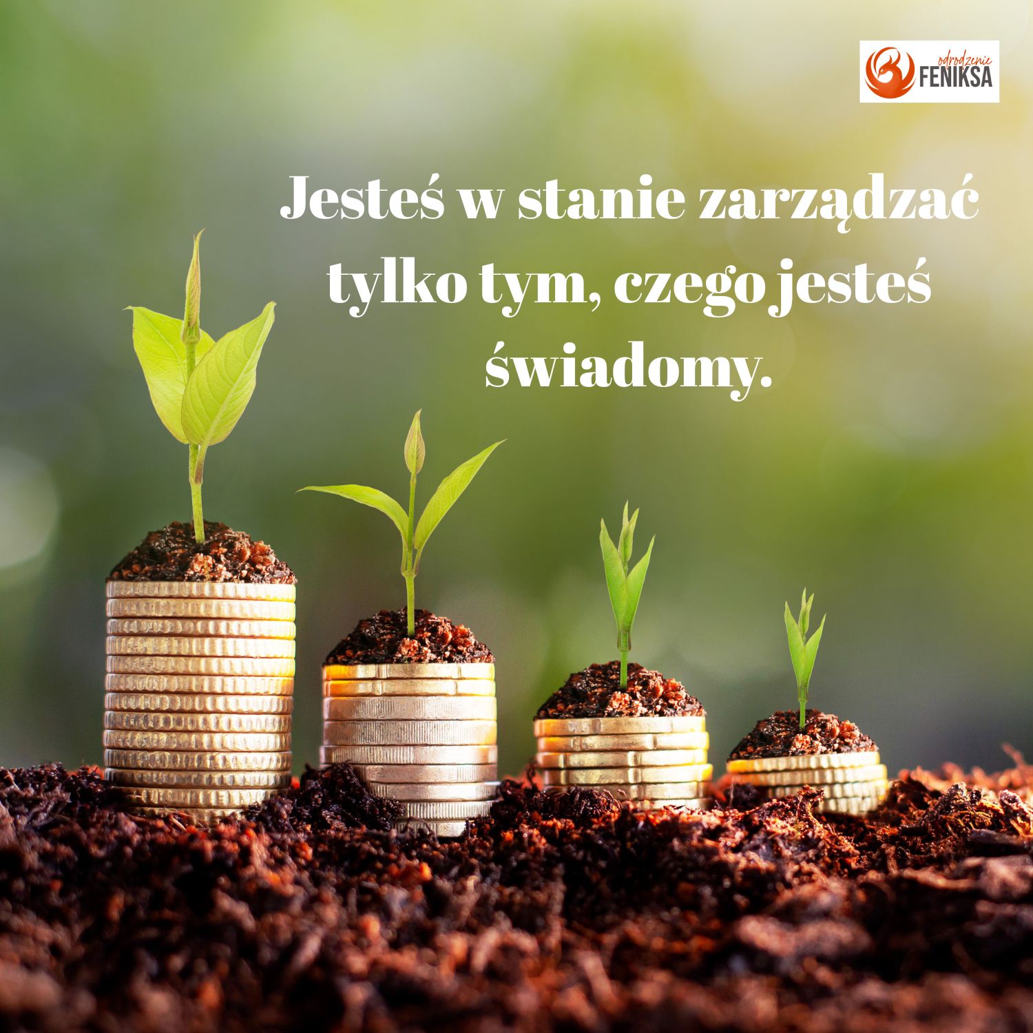 Jesteś w stanie zarządzać